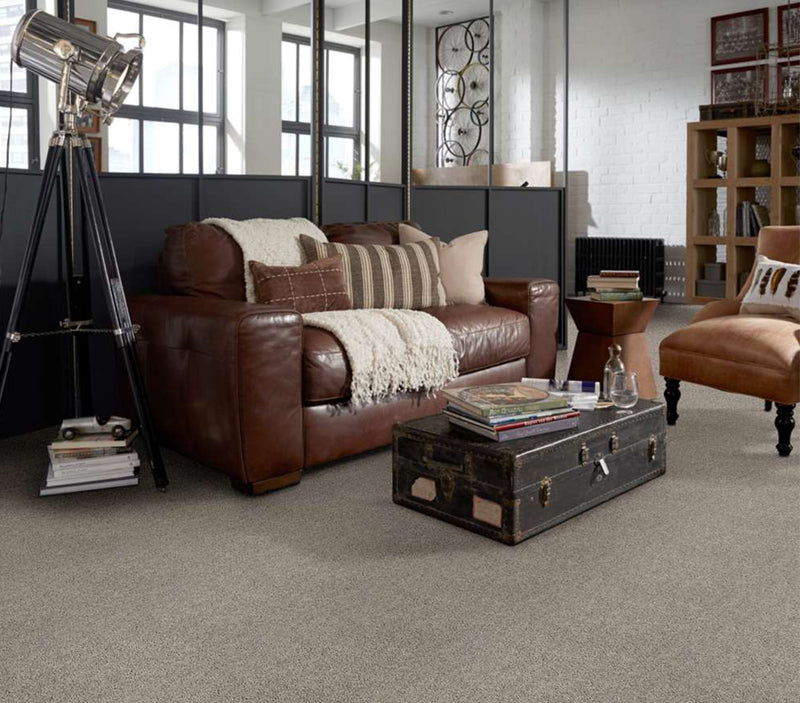 Rival By Resista's Beautiful Water Resistant Carpet